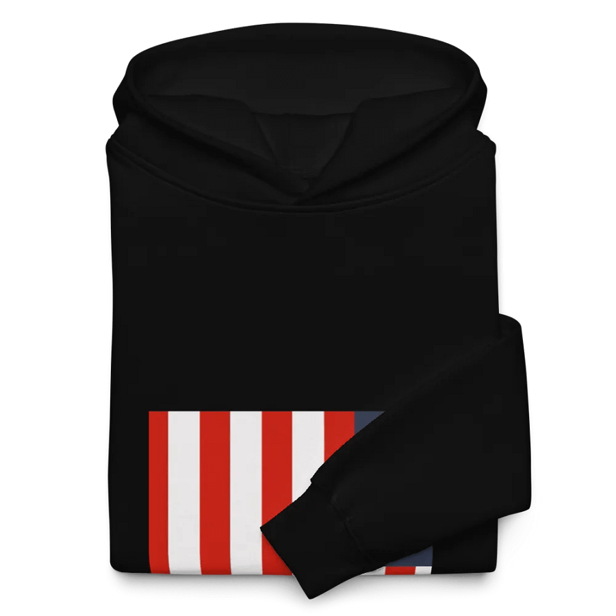 Stars & Stripes Oversized Hoodie product image (10)