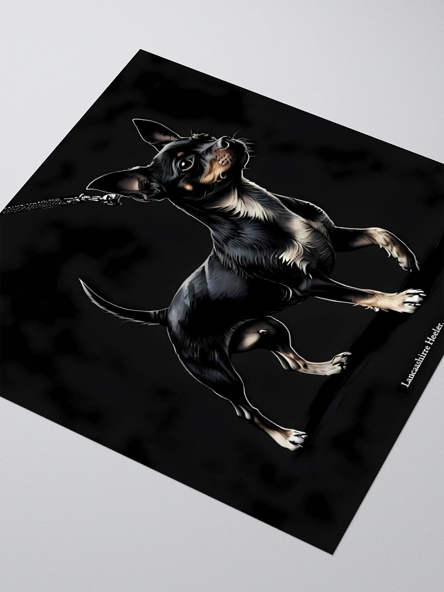 Lancashire Heeler Dog Illustration | Bold Black-and-White Canine Art product image (8)