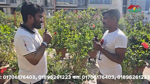 Rooftop gardens have become popular in Dhaka-ঢাকায় জনপ্রিয় হয়ে উঠেছে ছাতবাগান

video Editing Date:4-012-2024

জিও ব্যাগ সহ ছা...