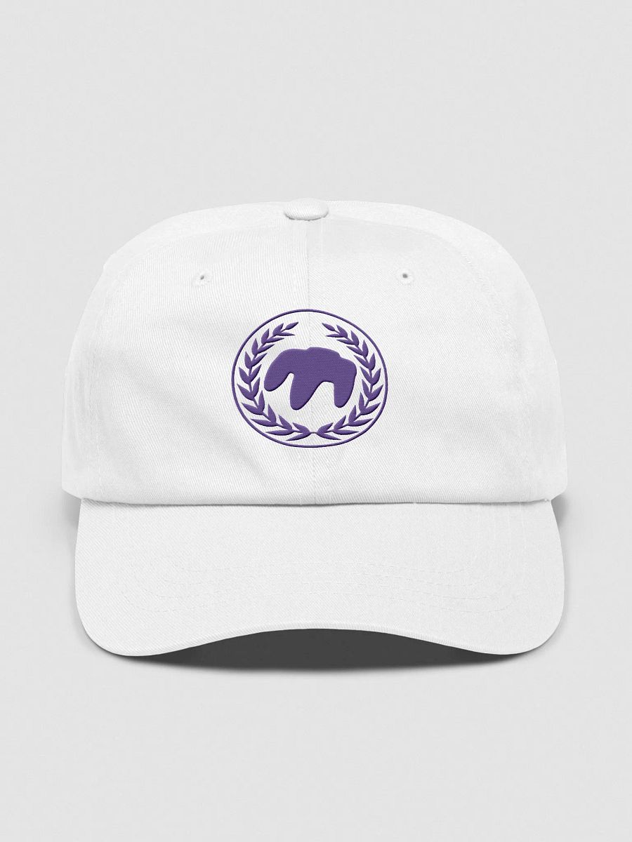 Purple OEM FormFrame and Associates LLC Hat product image (57)