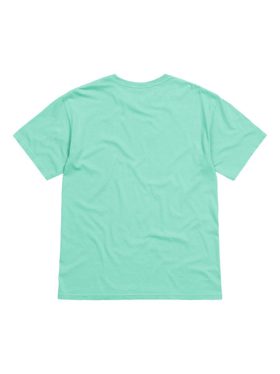 Vintage Comfort: Garment-Dyed Heavyweight Tee product image (3)