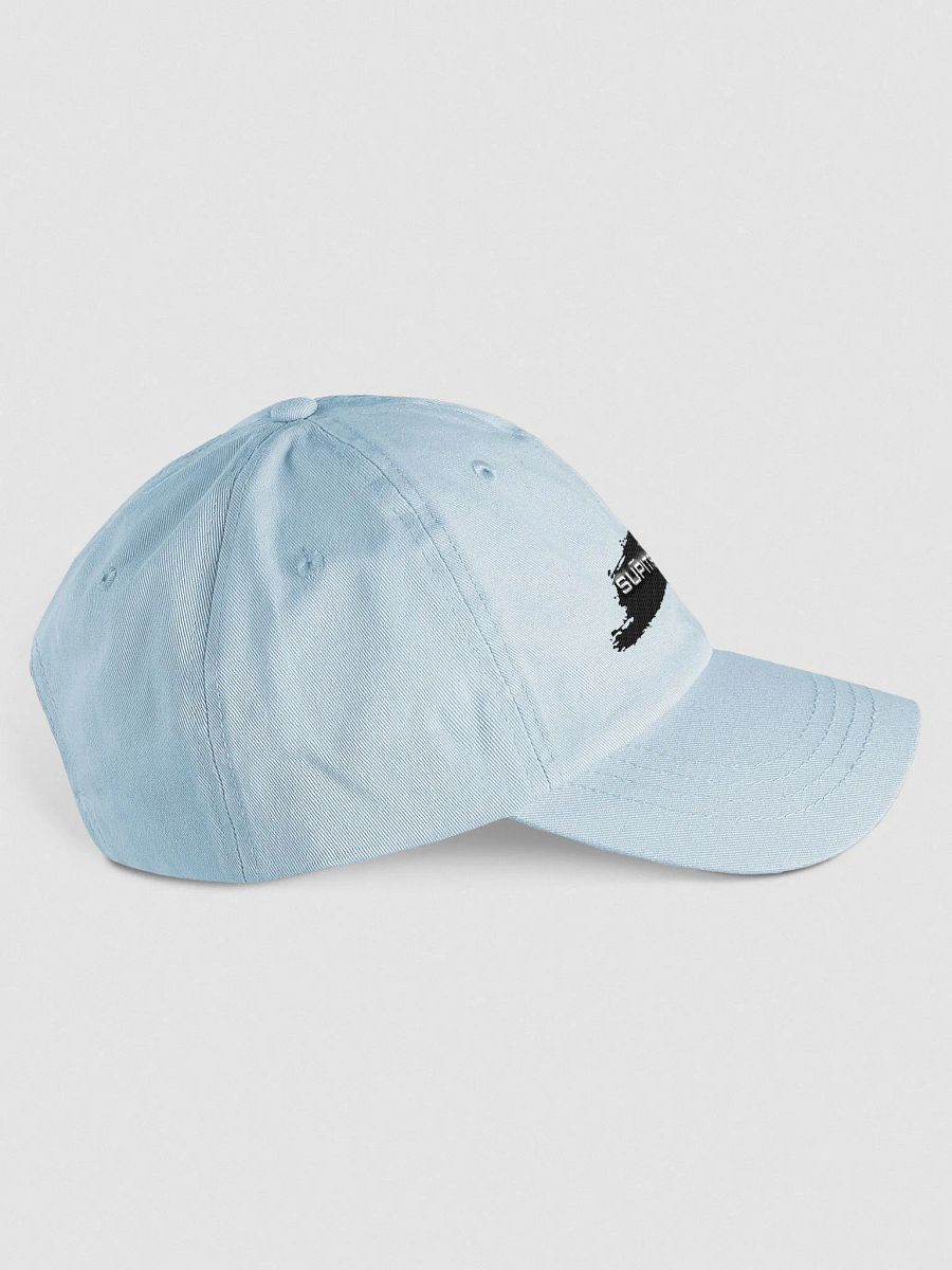 Breezy Logo Hat! product image (4)