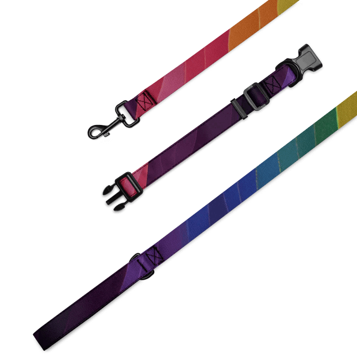 Rainbow Dog Leash and Collar Set product image (1)