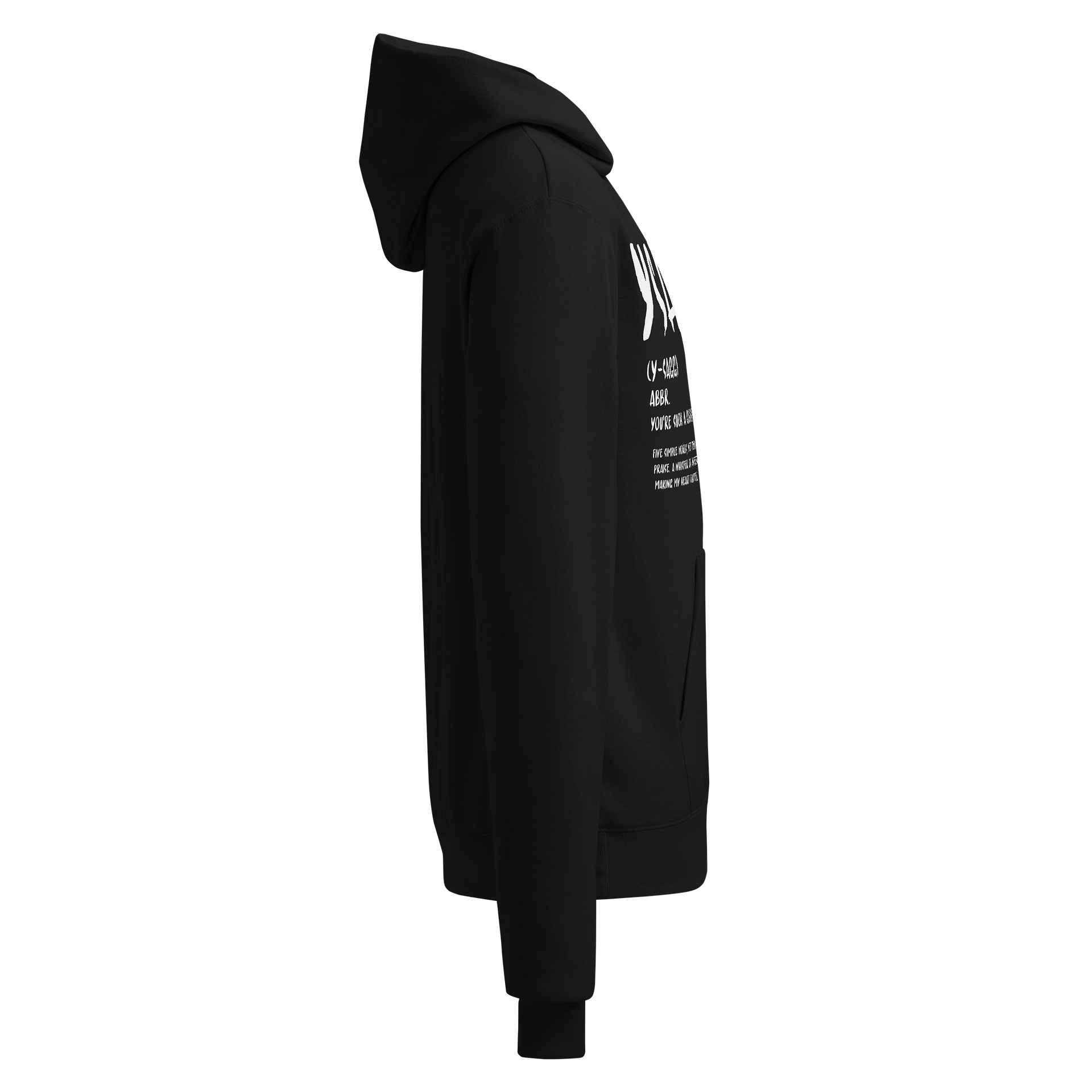 YSAGG Definition Champion Hoddie product image (4)