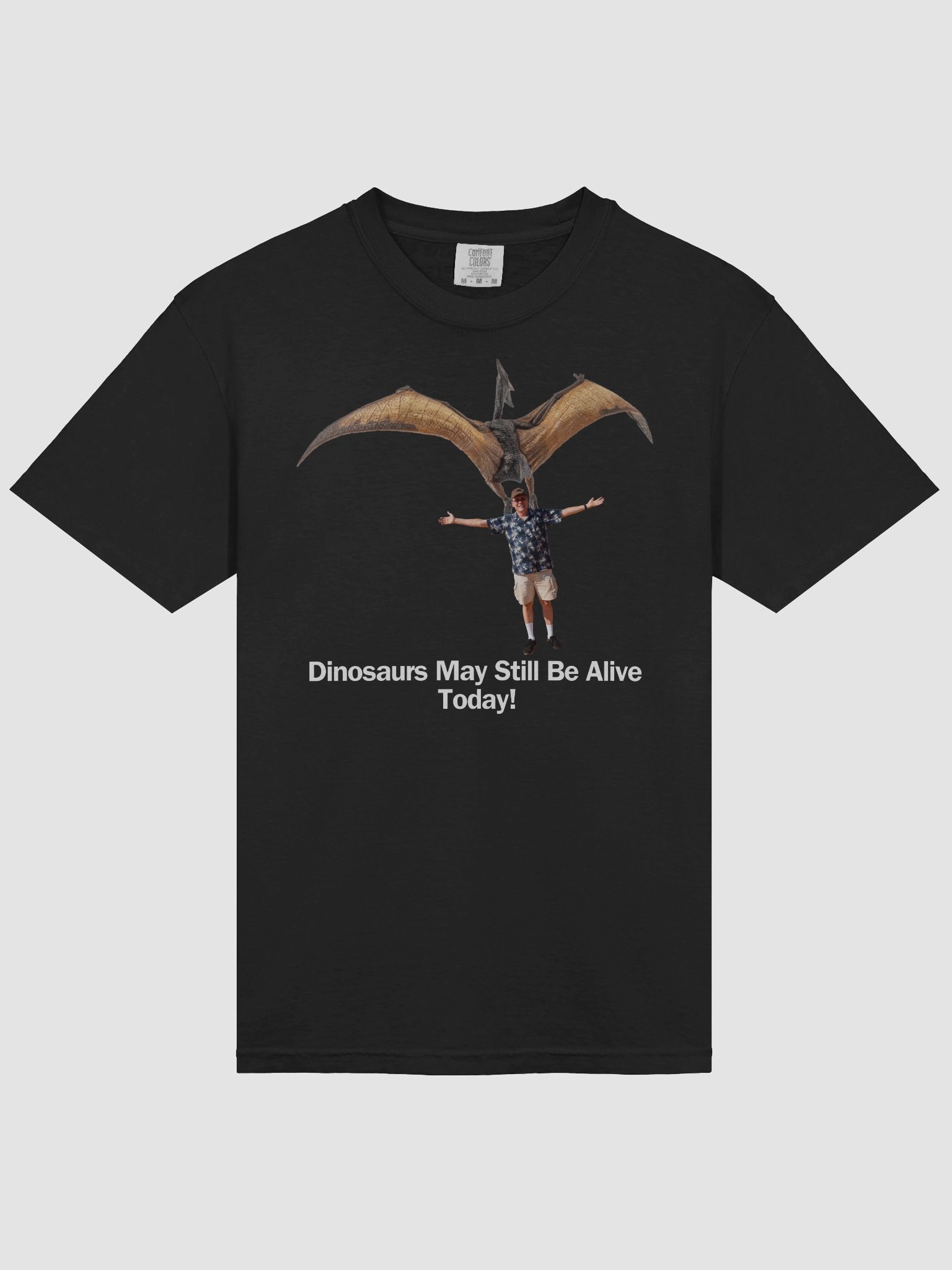 Dr. Dino dragged away product image (9)