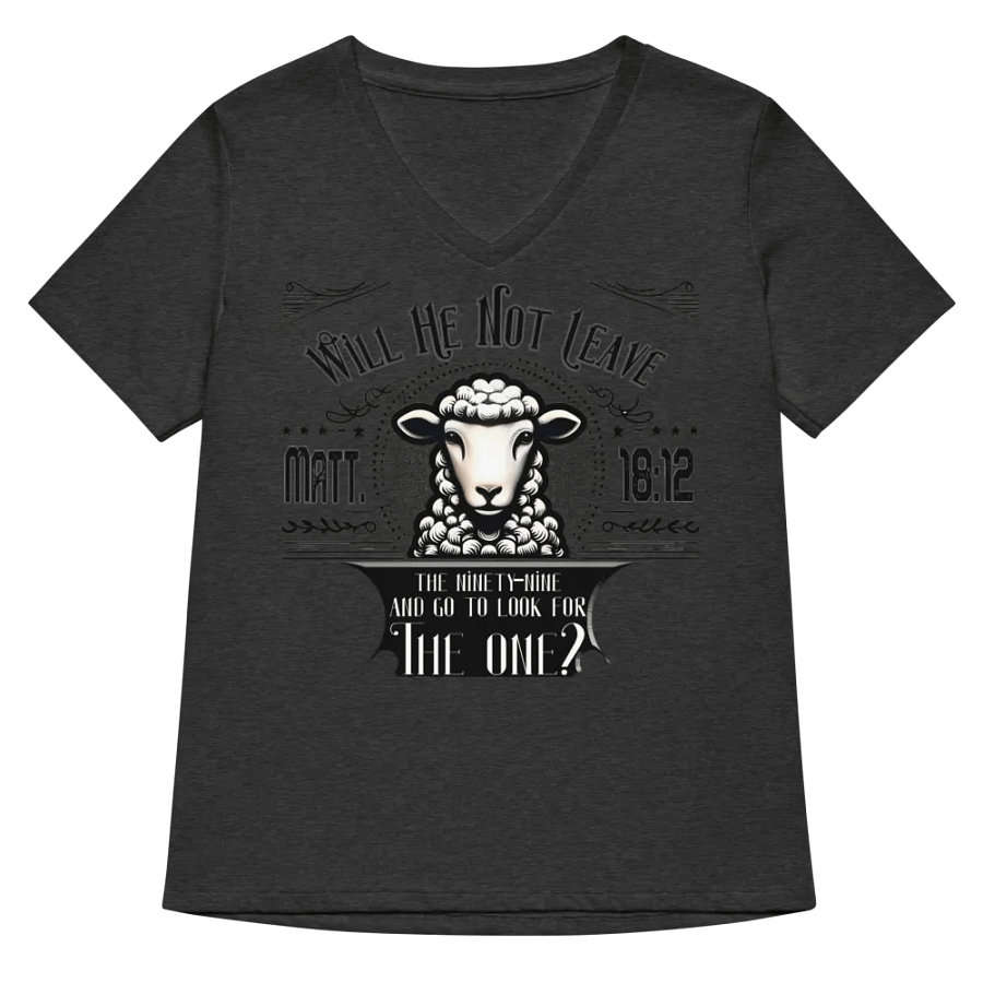 The One Found Sheep Vintage V-Neck Tee product image (9)