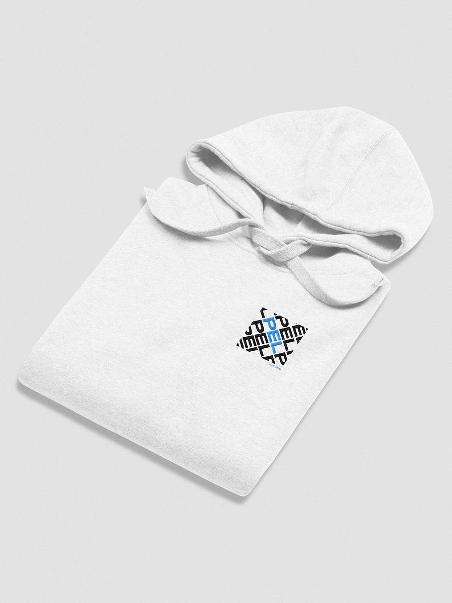 Box Embroidered Hoodie product image (3)