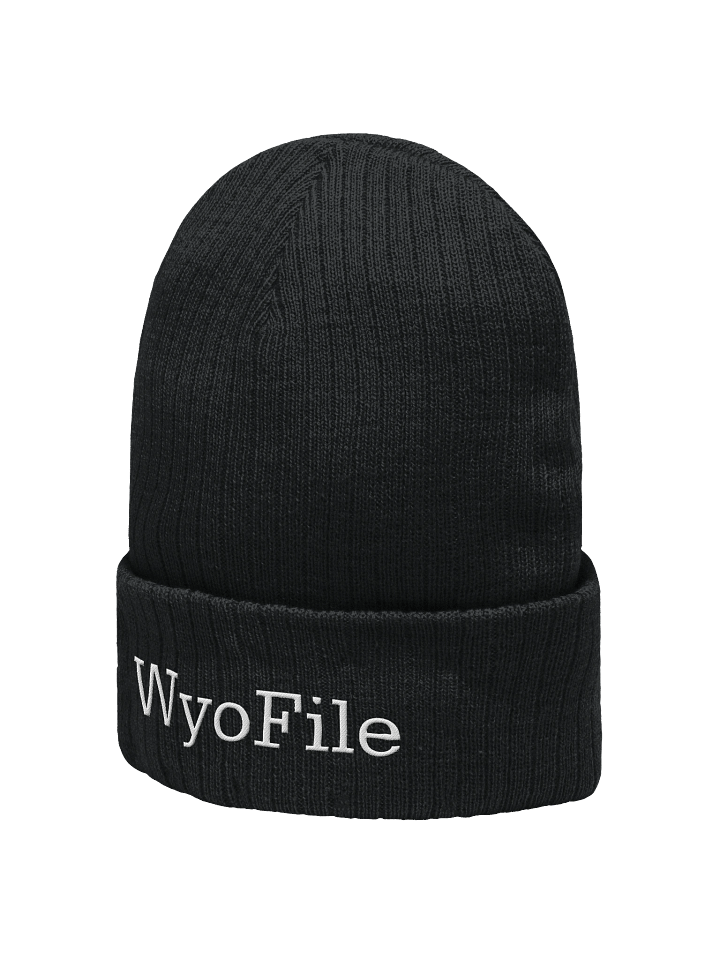 WyoBeanieRibbed product image (2)