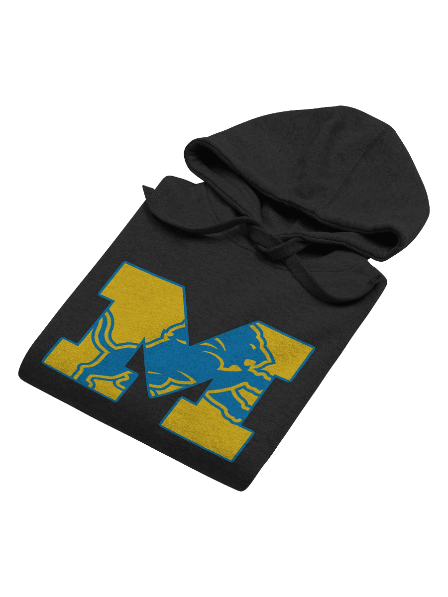 Michigan Lions Hoodie product image (4)