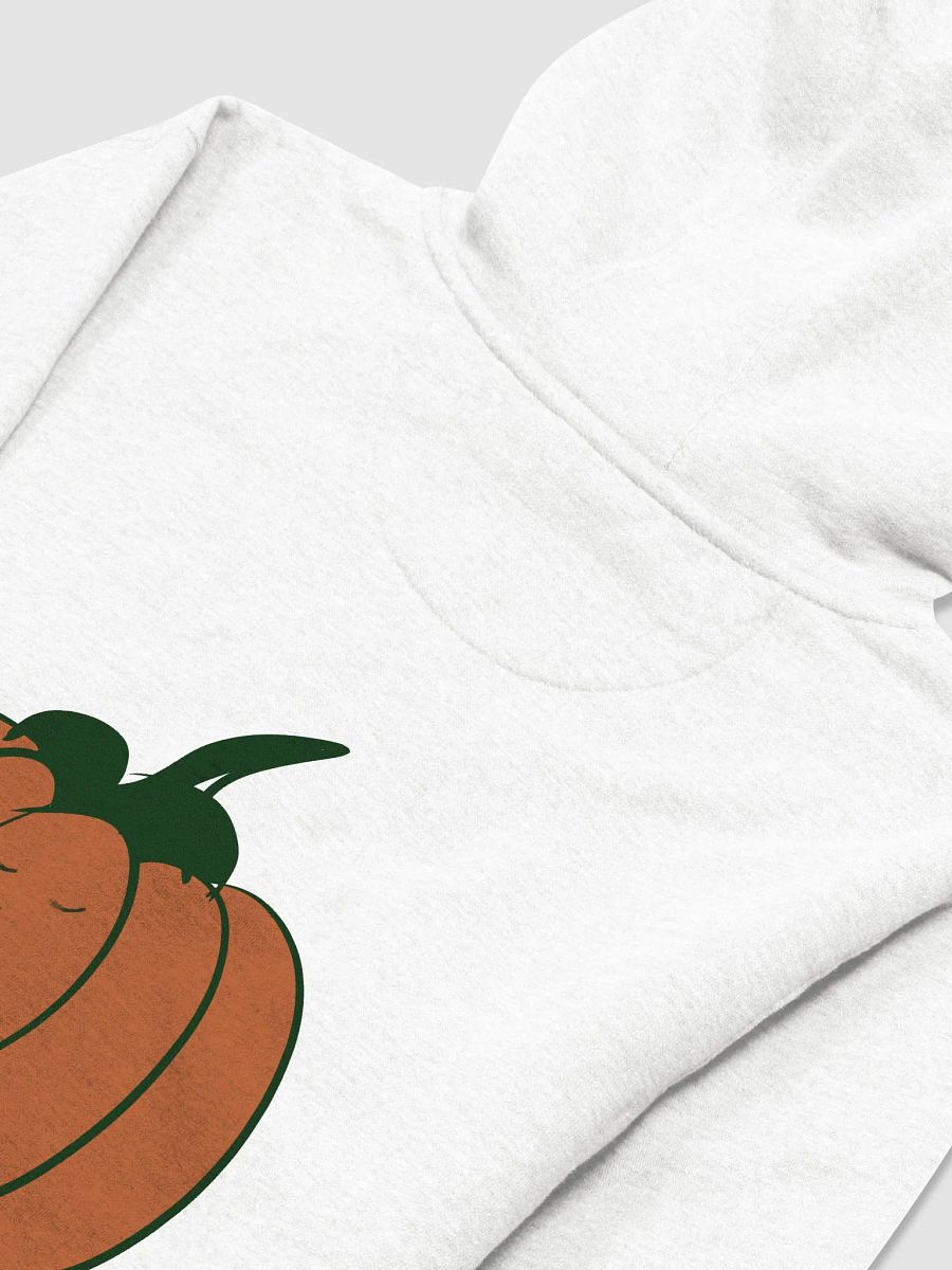 W Pumpkin Hoodie product image (4)