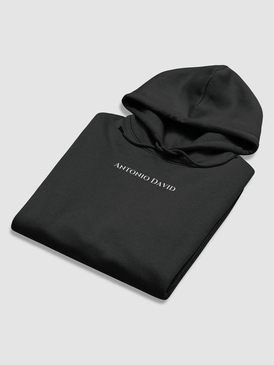 No Risk No Porsche Hoodie product image (1)