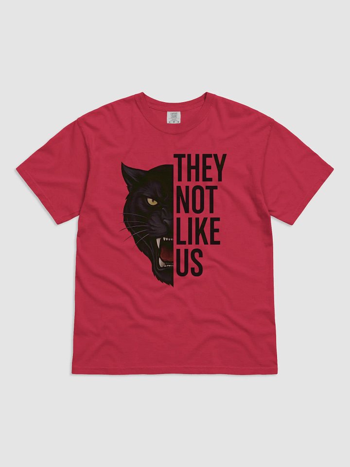 They Not Like Us Tee product image (5)