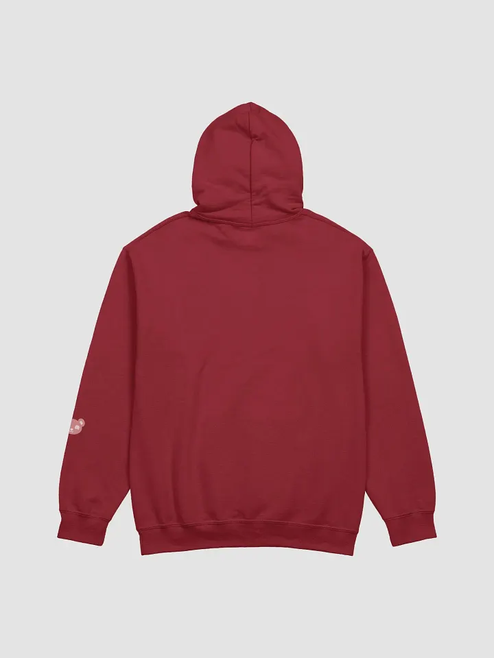 TeddyChan Logo Hoodie product image (2)