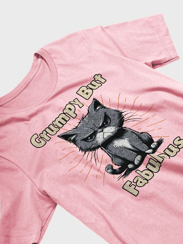 Grumpy But Fabulous Cat Cartoon T-Shirt product image (26)