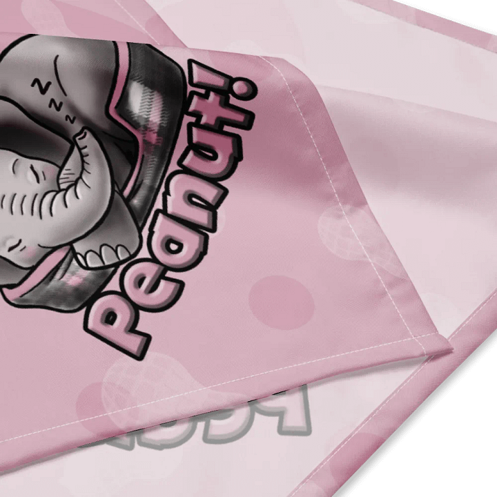 Sleepy Peanut - SFA Bandana product image (4)