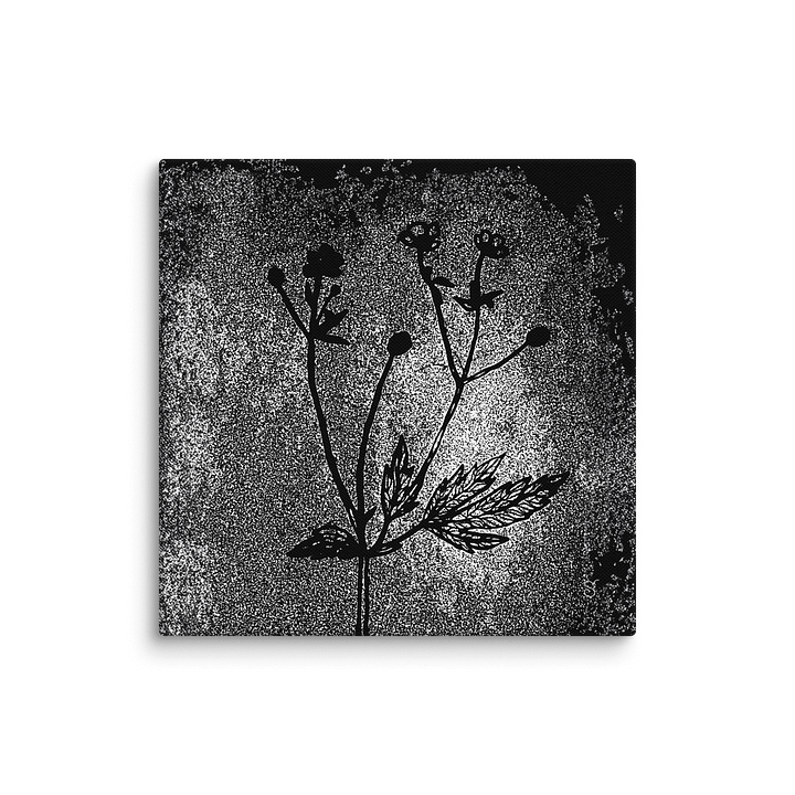 Visionary Canvas Collection - Wild Flowers Dark Stylish product image (1)