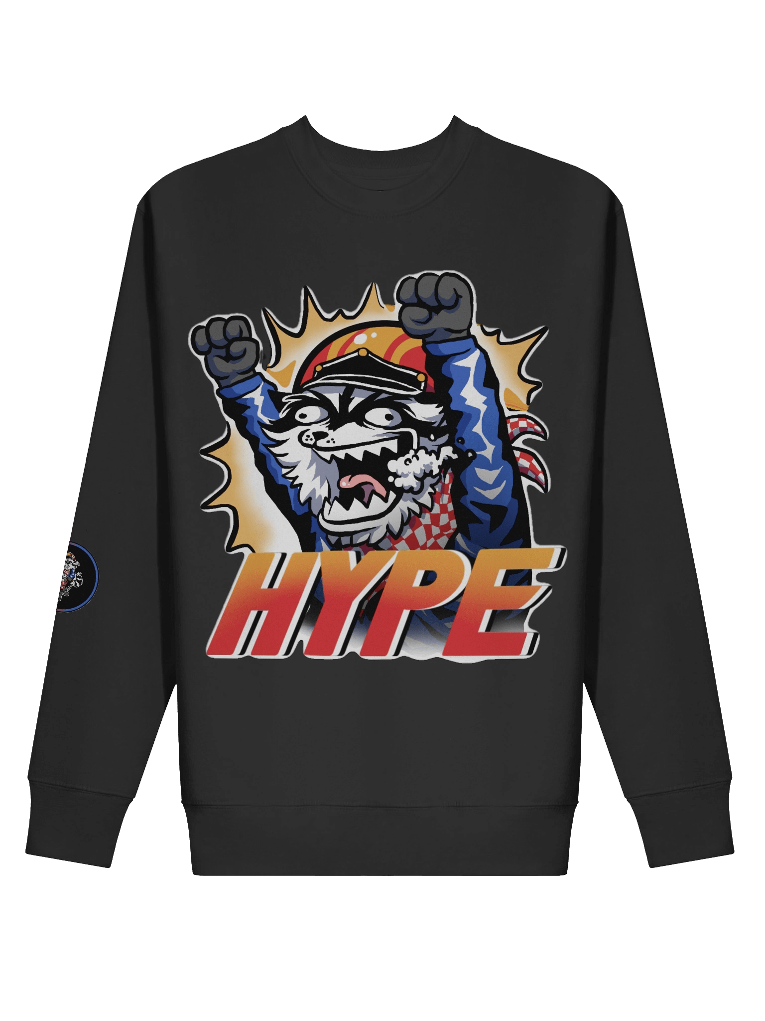 HYPE Longsleeve product image (2)