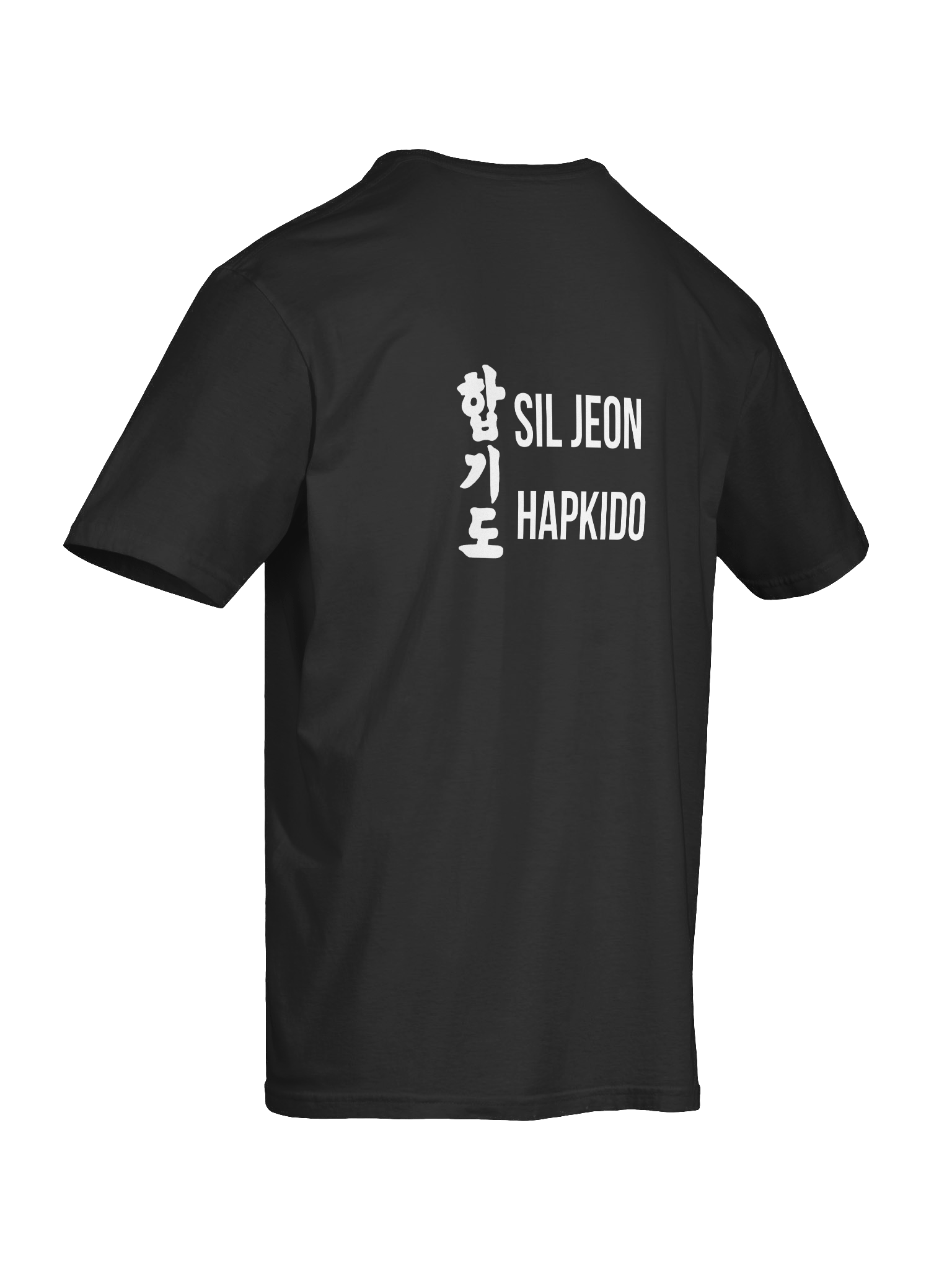 SilJeon Hapkido Organization Shirt! product image (6)