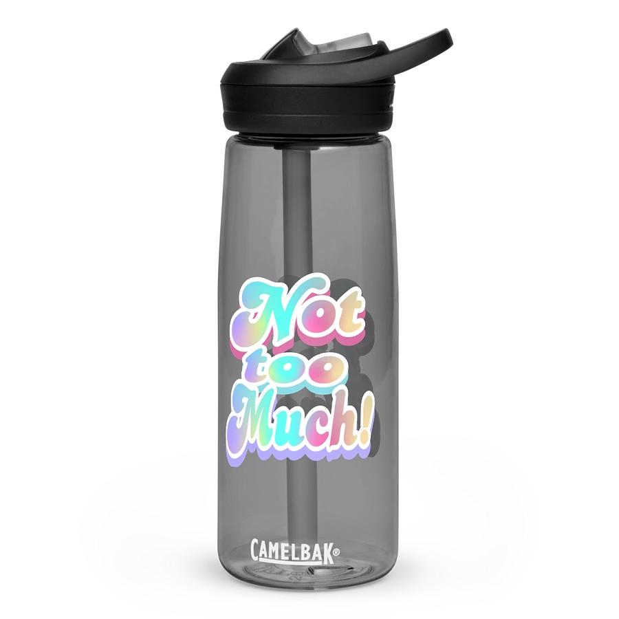 Whimsical Double 'Not Too Much' Water Bottle product image (2)