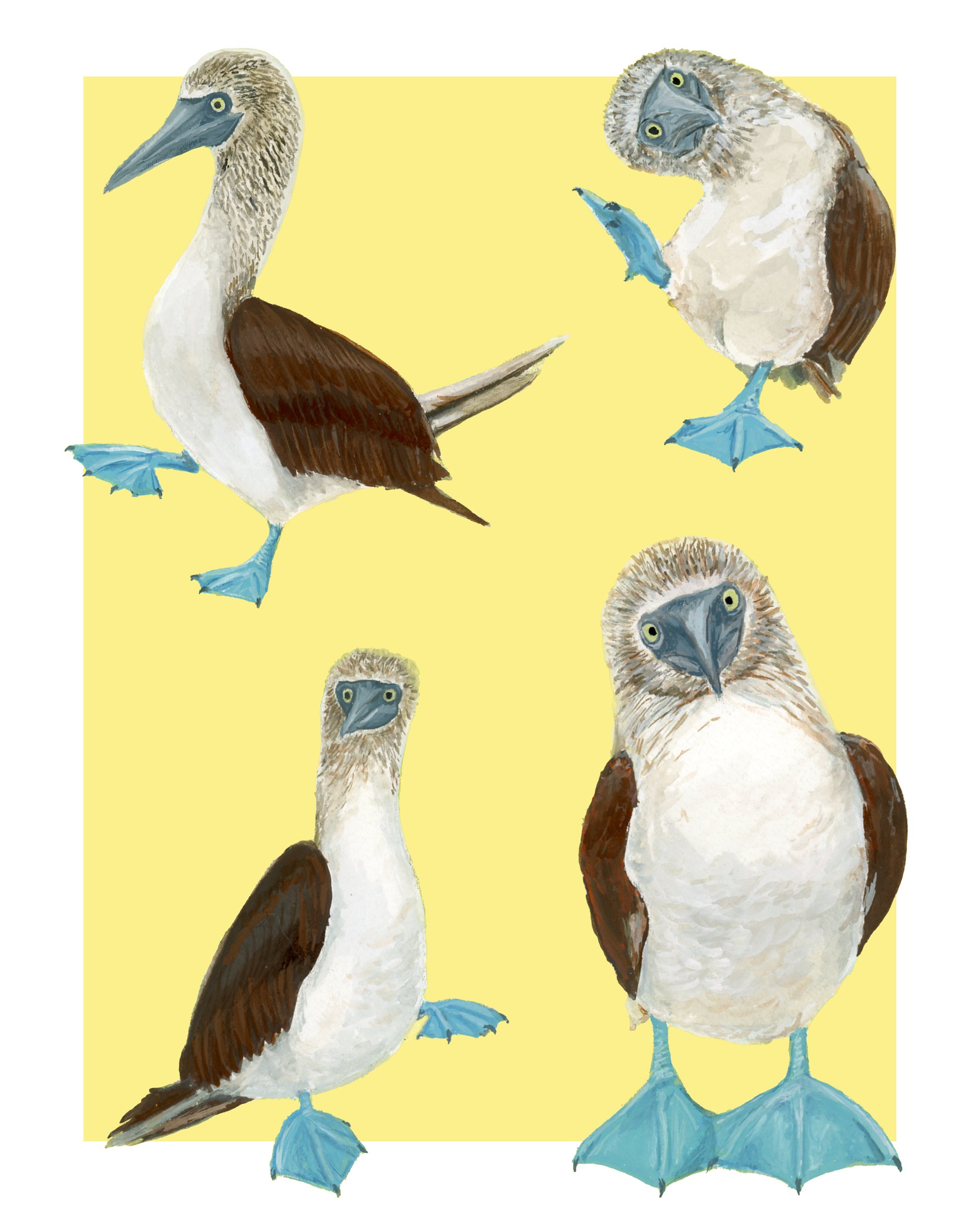 Boobies - giclée print product image (1)