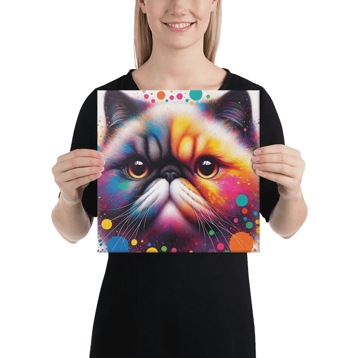 Canvas (in): Exotic Shorthair product image (1)