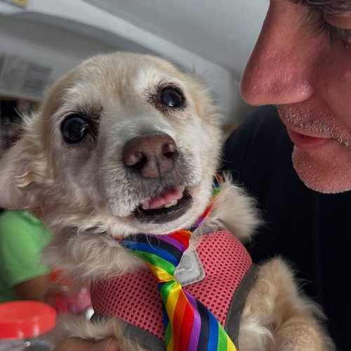 We have noticed that Roxy limps a little when she is one position for a while. Maybe is age but we don’t want to take any cha...
