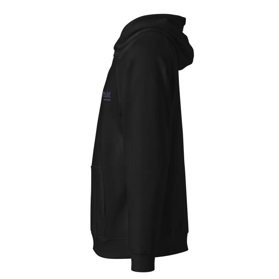 Insulet Logo Eco Raglan Hoodie product image (4)