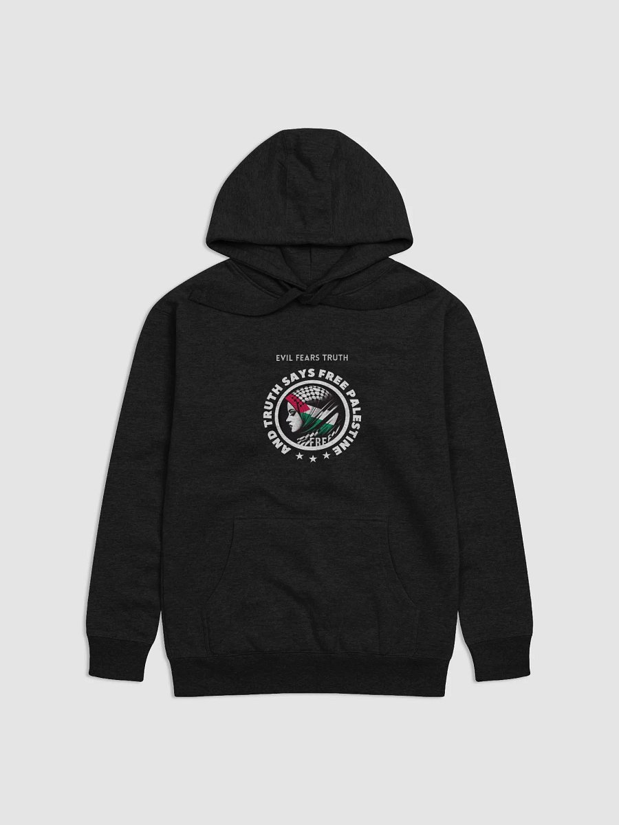 Free Palestine Unisex Hoodie | Evil fears truth, and truth says: Free Palestine. product image (3)
