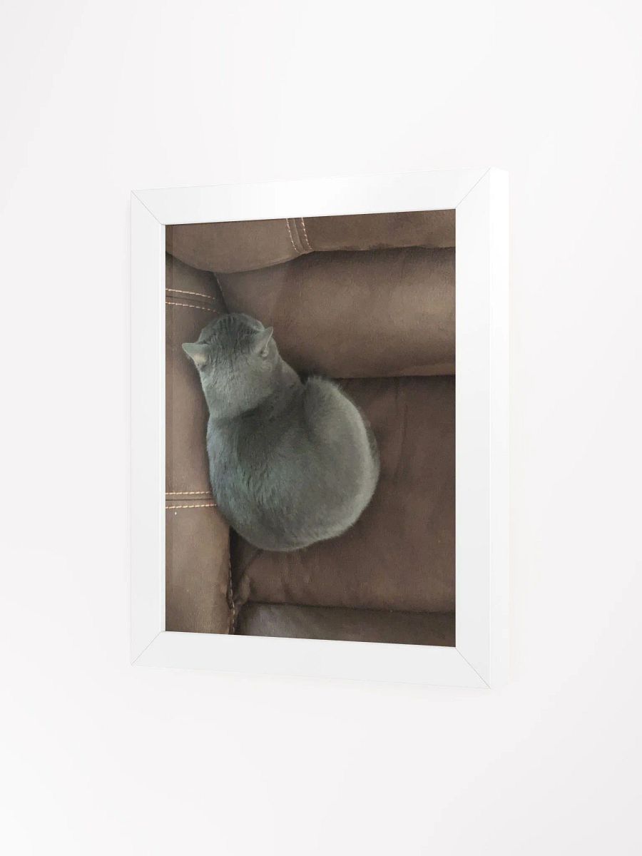 Sansa Kitty Couch Corner High Quality Matte Poster product image (3)
