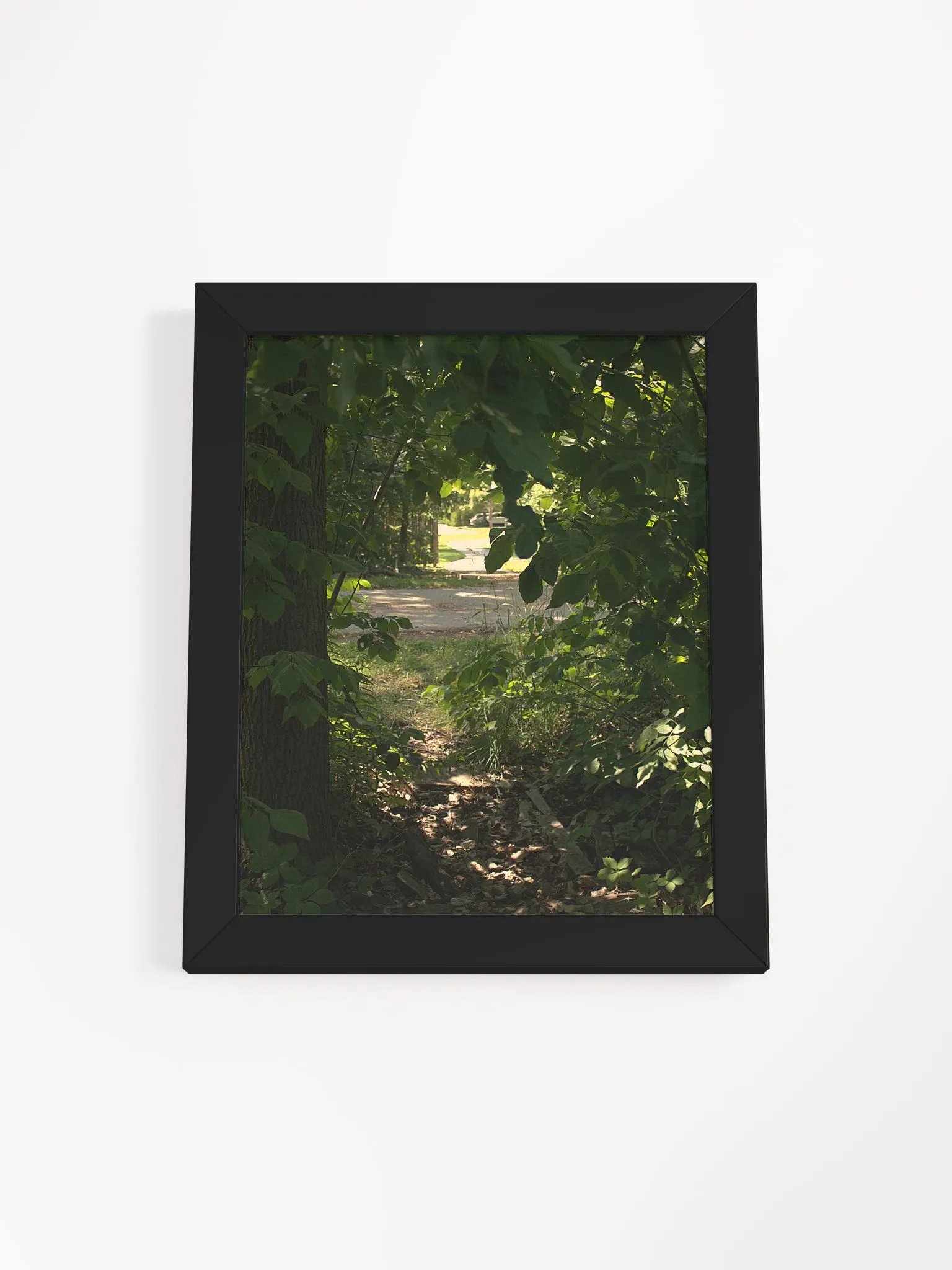 Nature Surrounded (framed) product image (1)