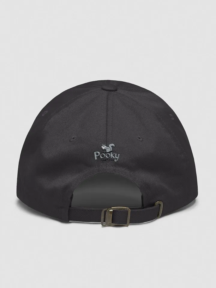 Baseball Hat Embroidered: Pooky Fan club, grey pooky product image (2)