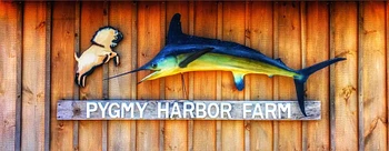 Pygmy Harbor Farm