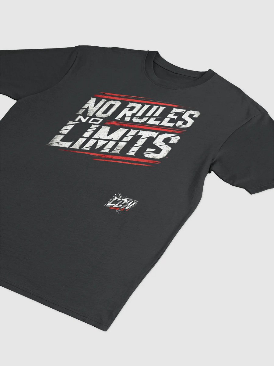 DDW NO RULES NO LIMITS HEAVY T-SHIRT product image (2)