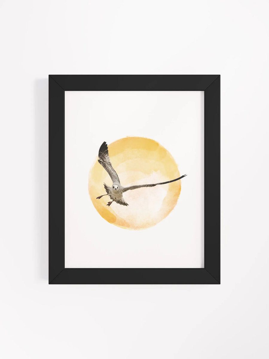 Young Sun Gull Framed Print product image (136)