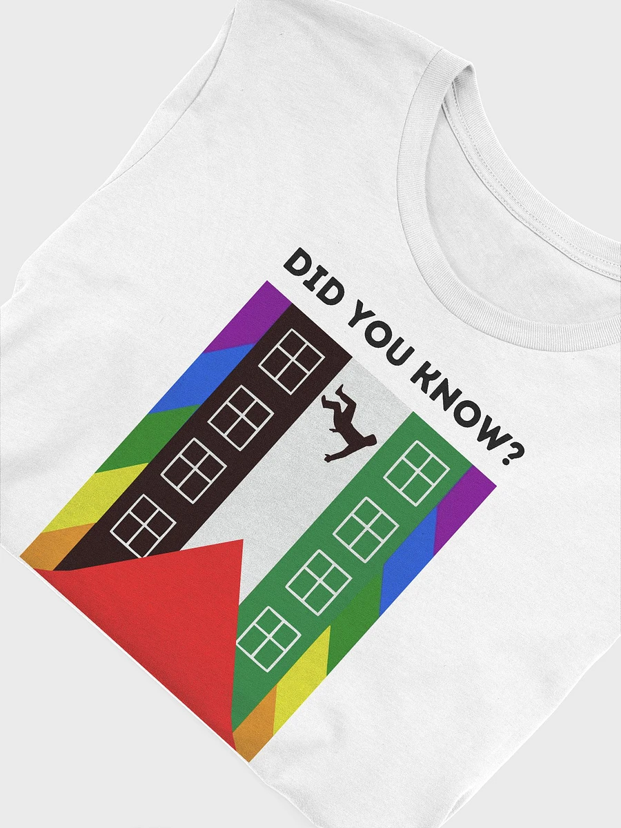 Queers for Palestine Shirt product image (5)