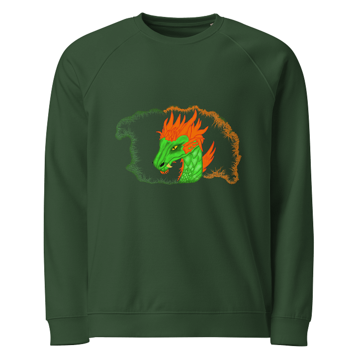 Dragonfire Unisex Raglan Sweatshirt product image (1)