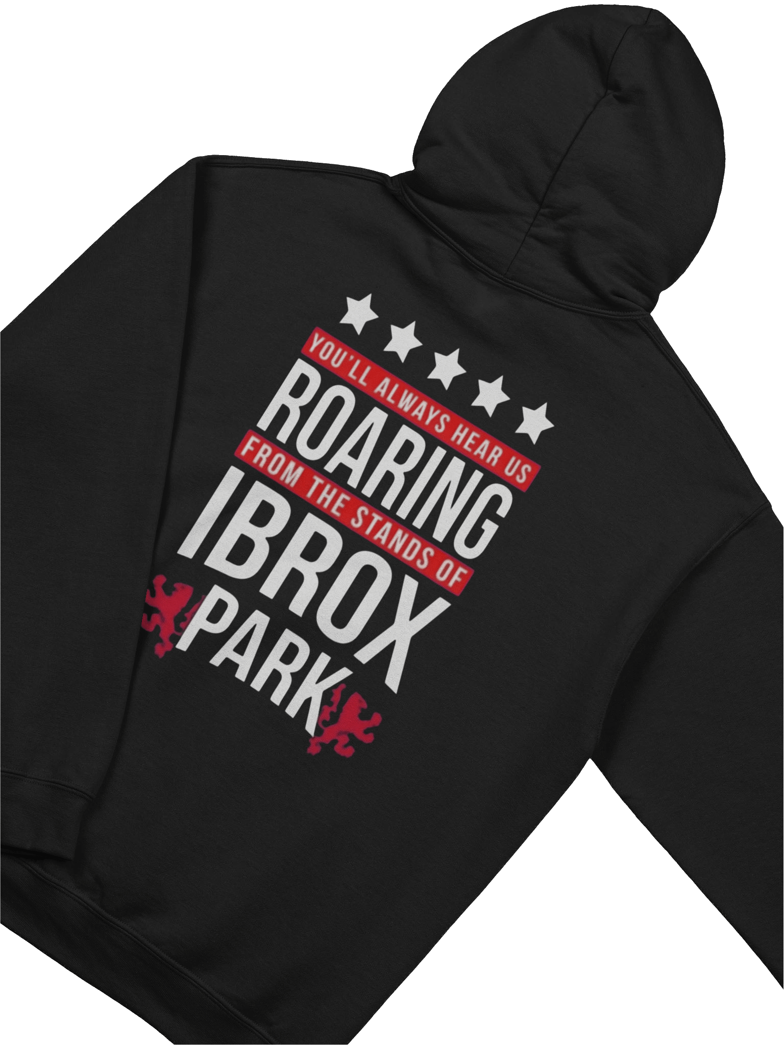 UBC "You'll Always Hear Us Roaring" Hoodie product image (4)