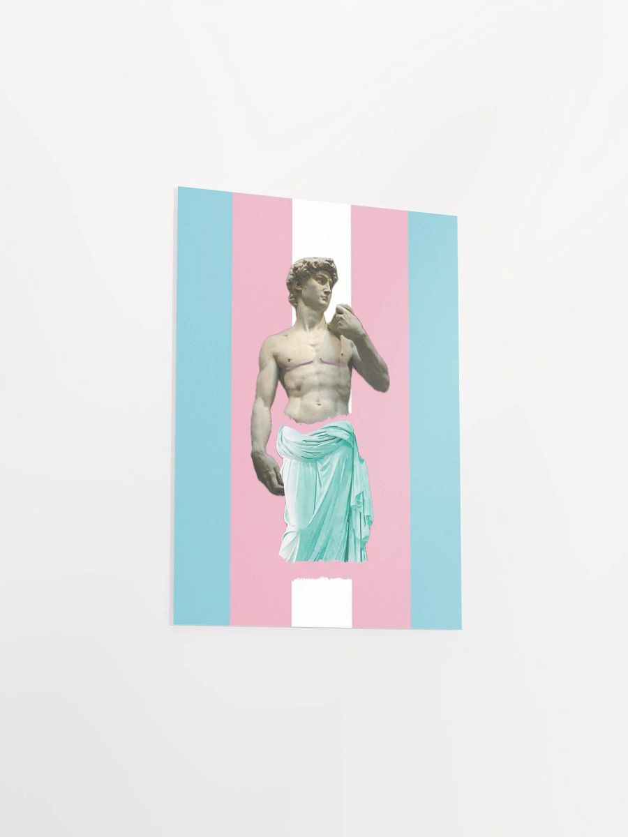 Trans Day of Visibility 1 Poster product image (3)