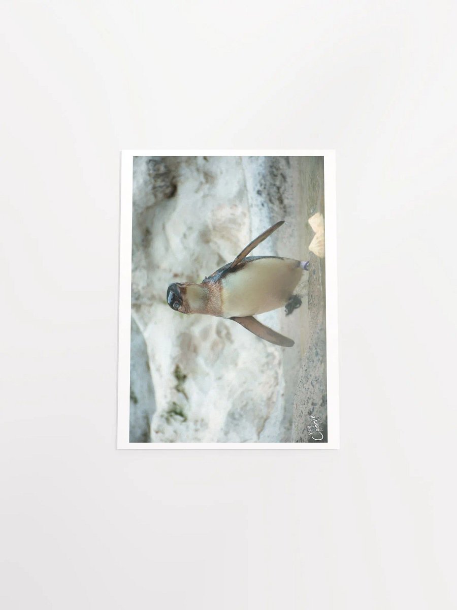 Penguins March - Print product image (4)