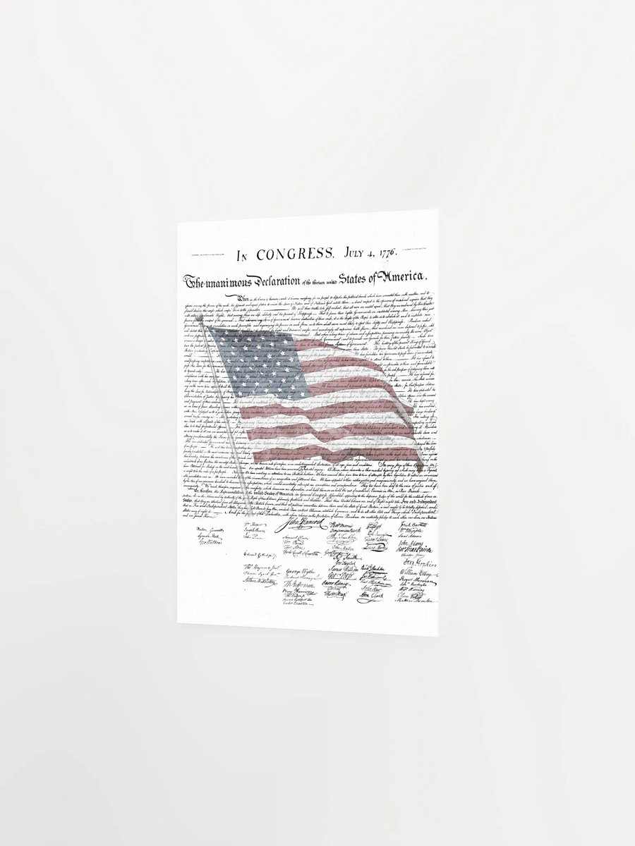 PATRIOTIC PRINT product image (11)