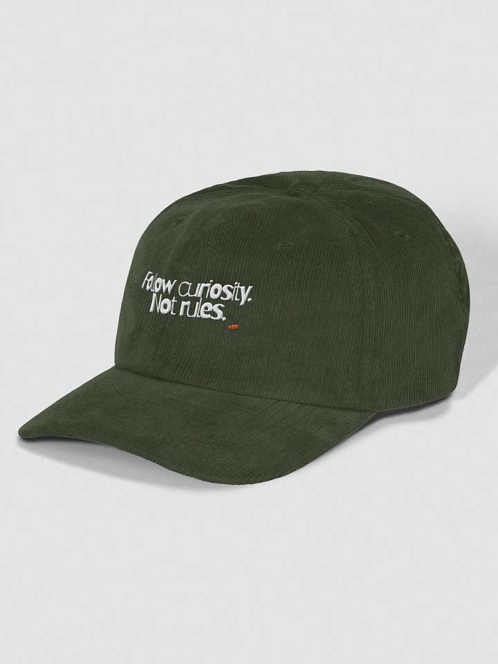 Cat Wisdom "Follow curiosity. Not Rules" Embroidered Corduroy Dad Hat product image (18)