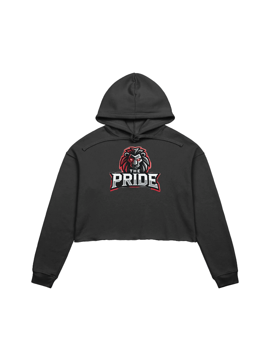 The Pride Women's Fleece top hoodie product image (2)