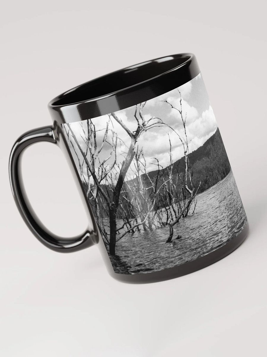 Advancetown Lake product image (3)