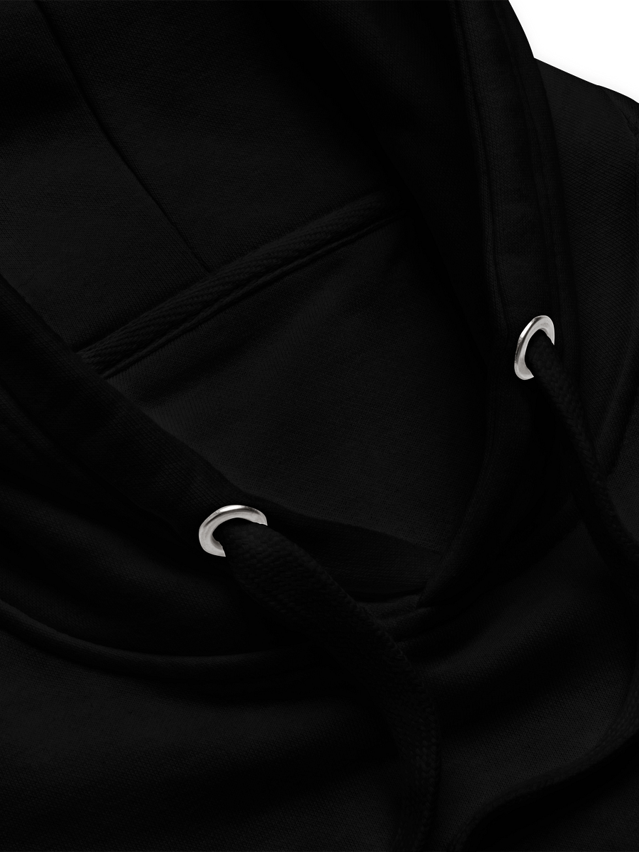 Exclusive Oversized Embroidery Hoodie product image (5)