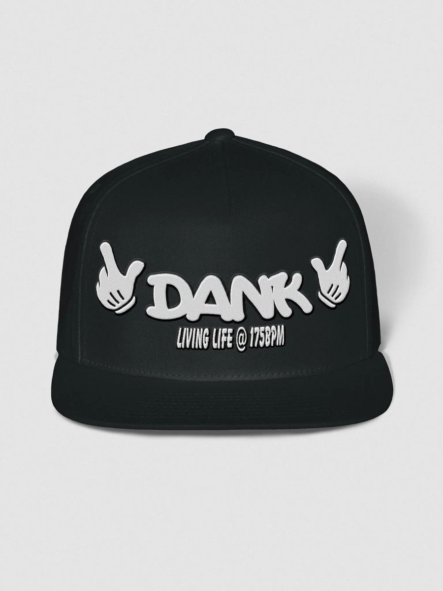 Dank snapback product image (1)