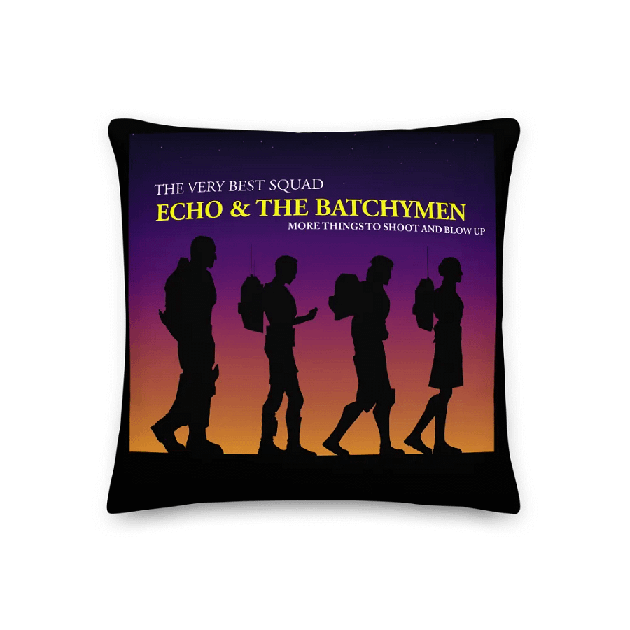 Echo & the Batchymen Pillow product image (7)