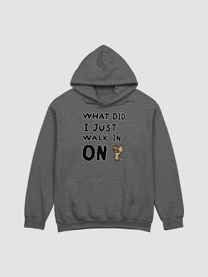 WHAT DID I JUST WALK IN ON!? - Hoodie product image (1)