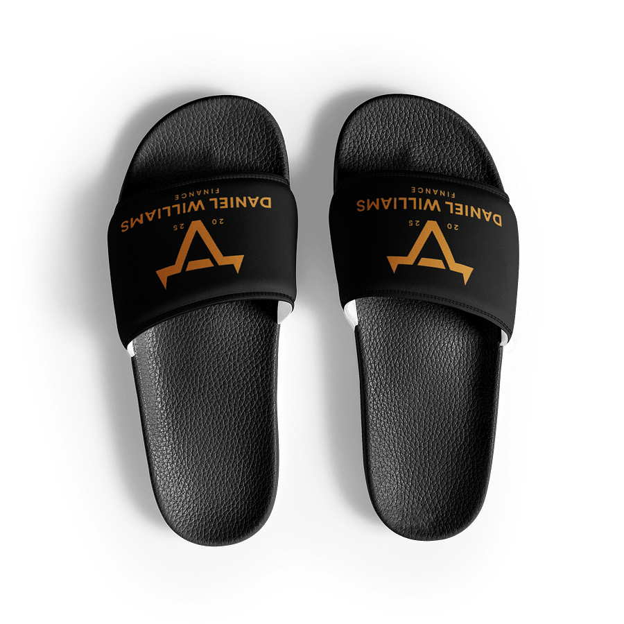 DWF Slides product image (3)