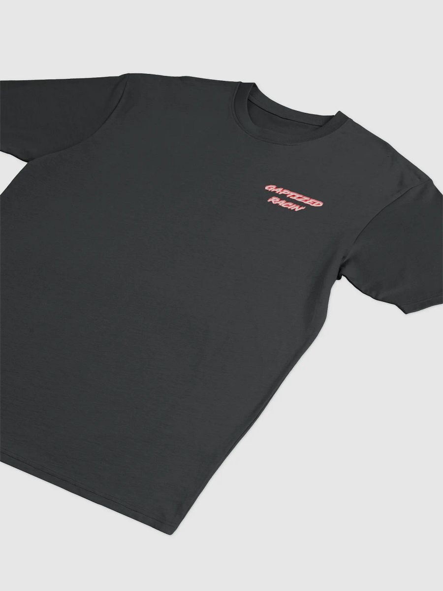 Gaptized Info Shirt product image (3)