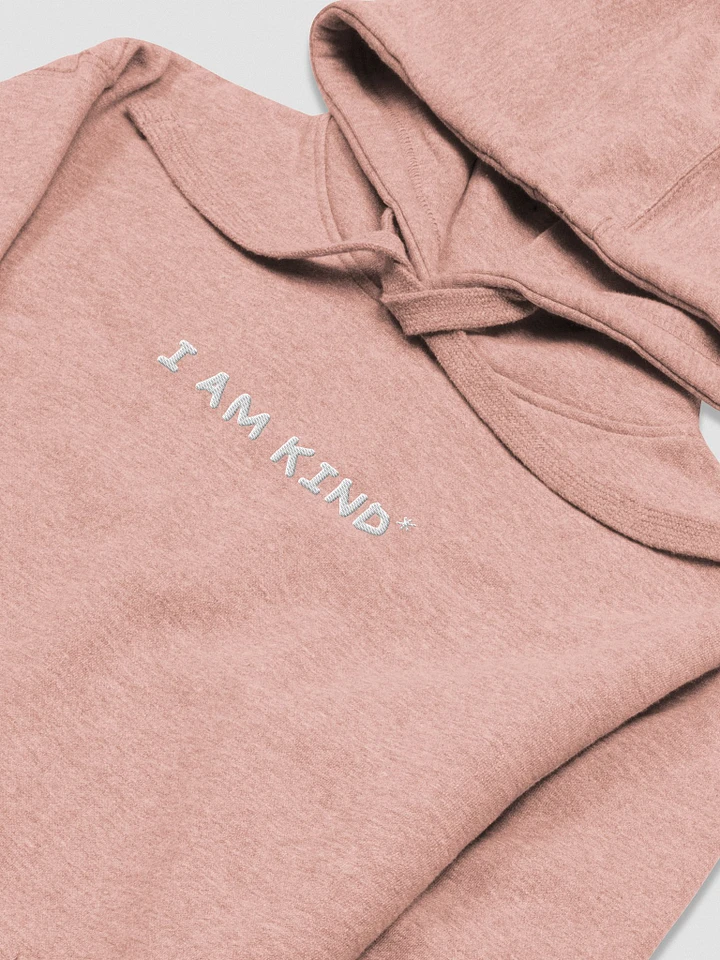 KIND OF A LOSER - EMBROIDERED HOODIE product image (4)